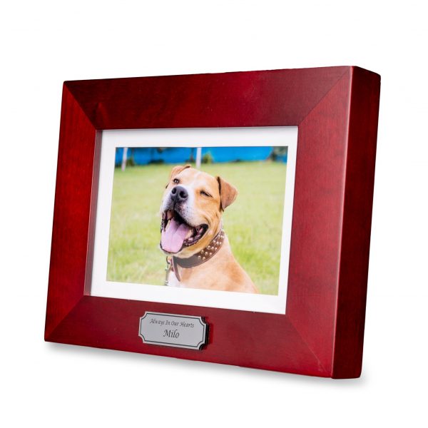 tributes dog memorial picture frame with storage for your pets ashes